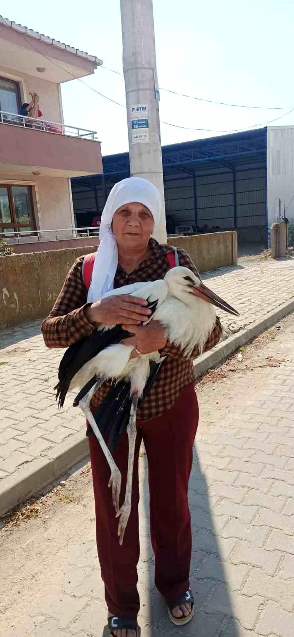 Yardımsever Kadın Leyleği Kurtardı
