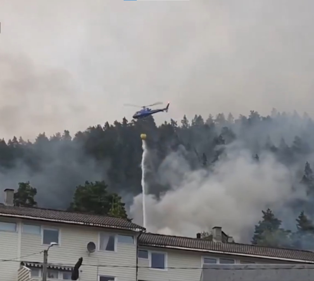 Yunanistan'da orman yangınları devam ediyor