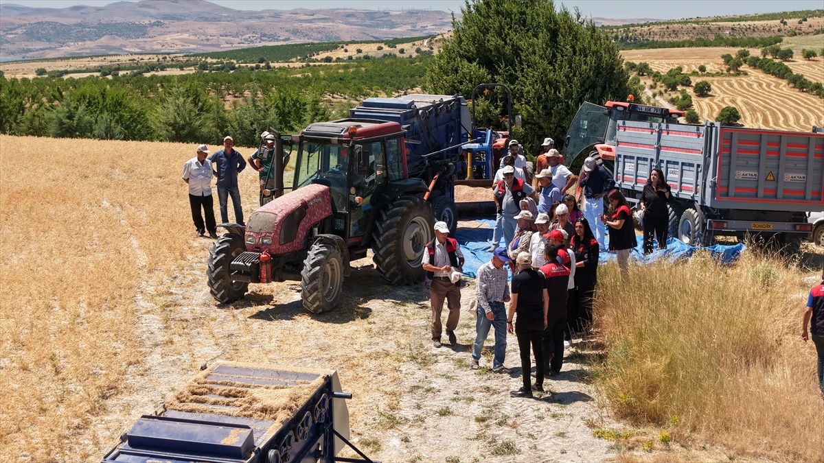 Elazığ\'da Nohut Hasat Etkinliği
