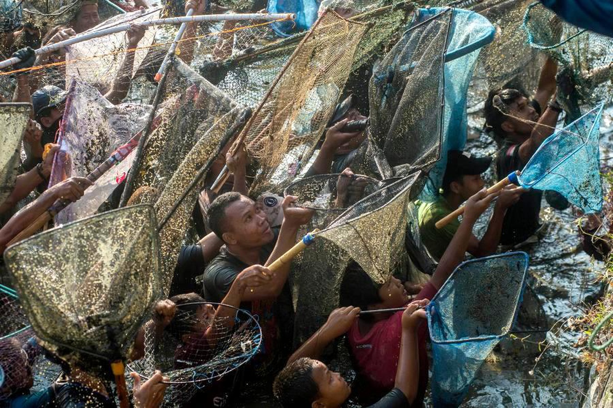 Memet Ikan Festivali Klaten\'de Yapıldı