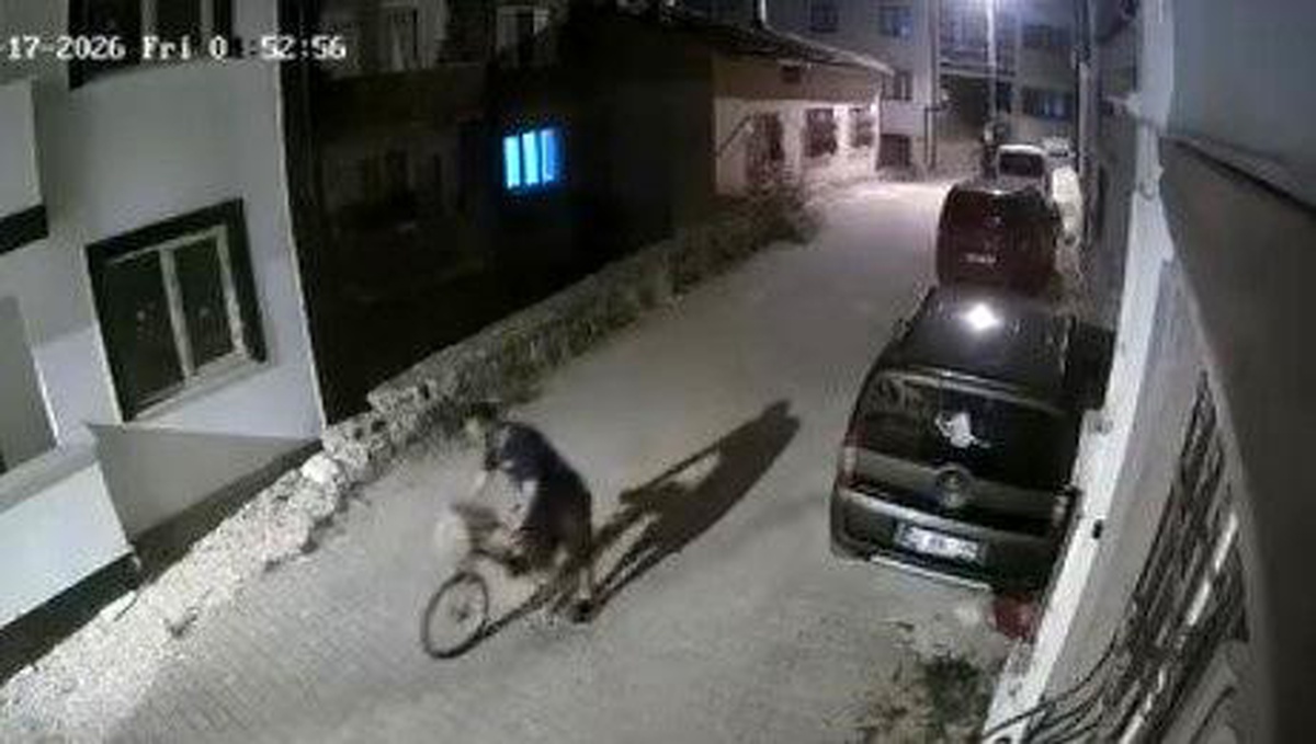 Bilecik\'te Hırsız Yakalandı