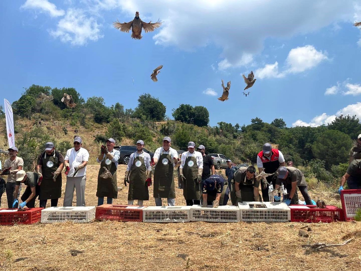 Havran\'da keklikler doğal yaşam alanlarına bırakıldı