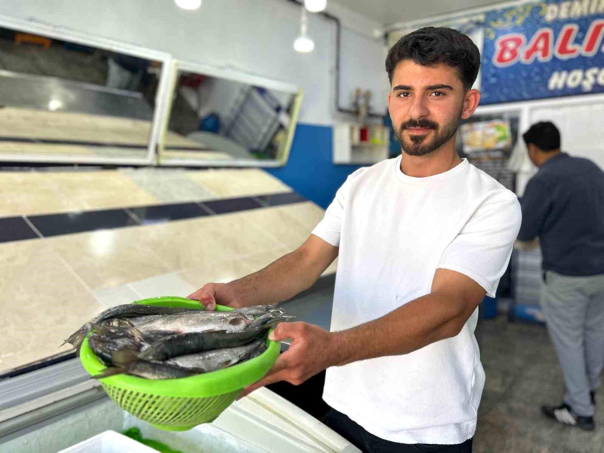 İnci Kefali Av Sezonu Açıldı