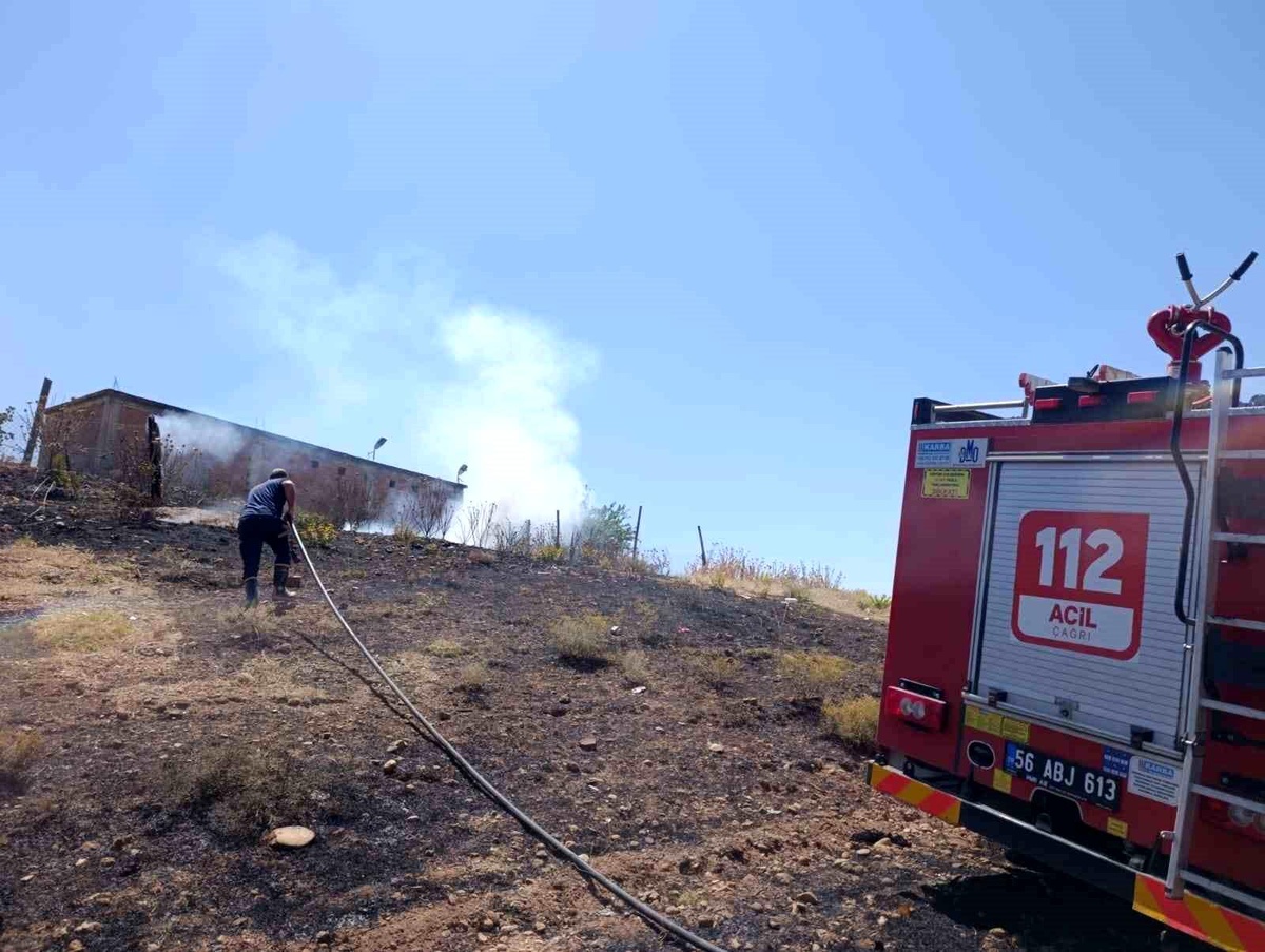 Siirt\'te anız yangını üzüm ve fıstık bahçelerine sıçradı