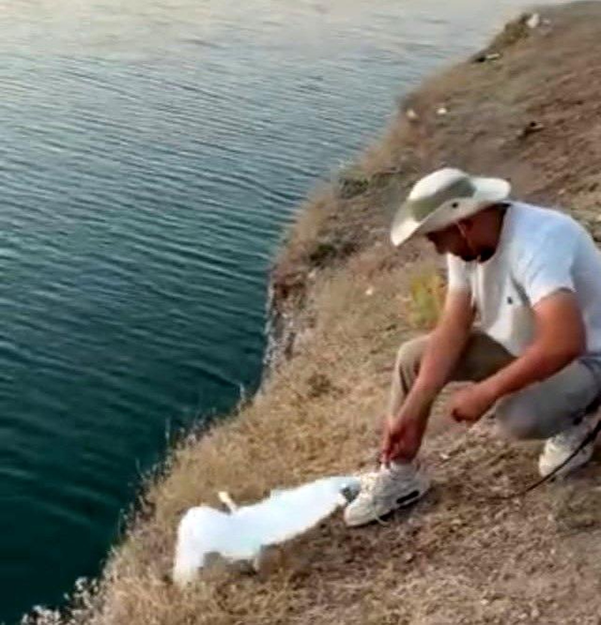 Malatya\'da Oltaya Martı Takıldı