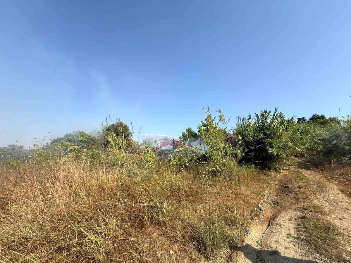 Manavgat\'ta kamışlık alanda çıkan yangın söndürüldü