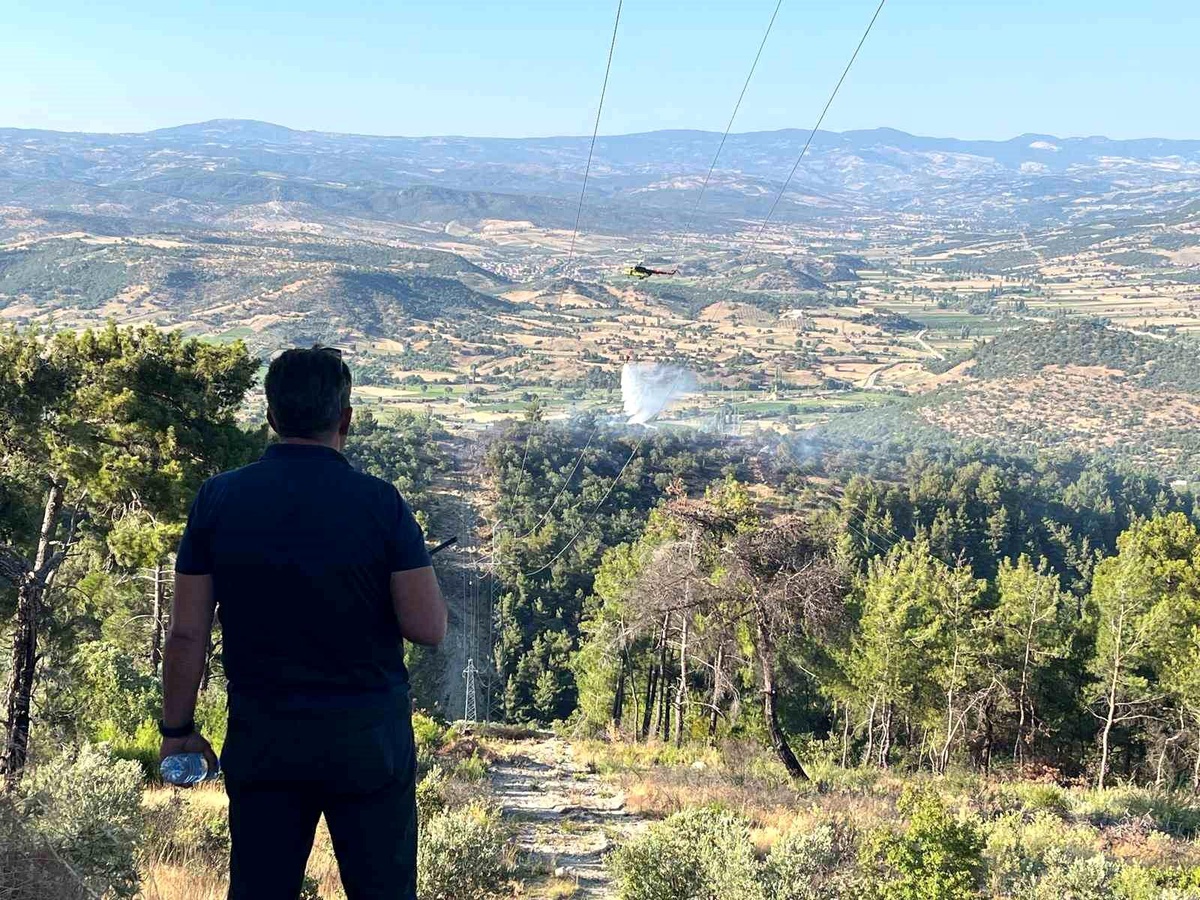 Manisa\'da yangında 1.5 hektarlık kızılçam ormanı zarar gördü