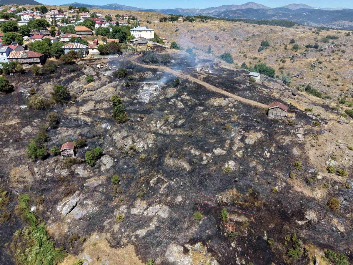 Ordu\'da tarım arazisinde çıkan yangında 5 samanlık yandı