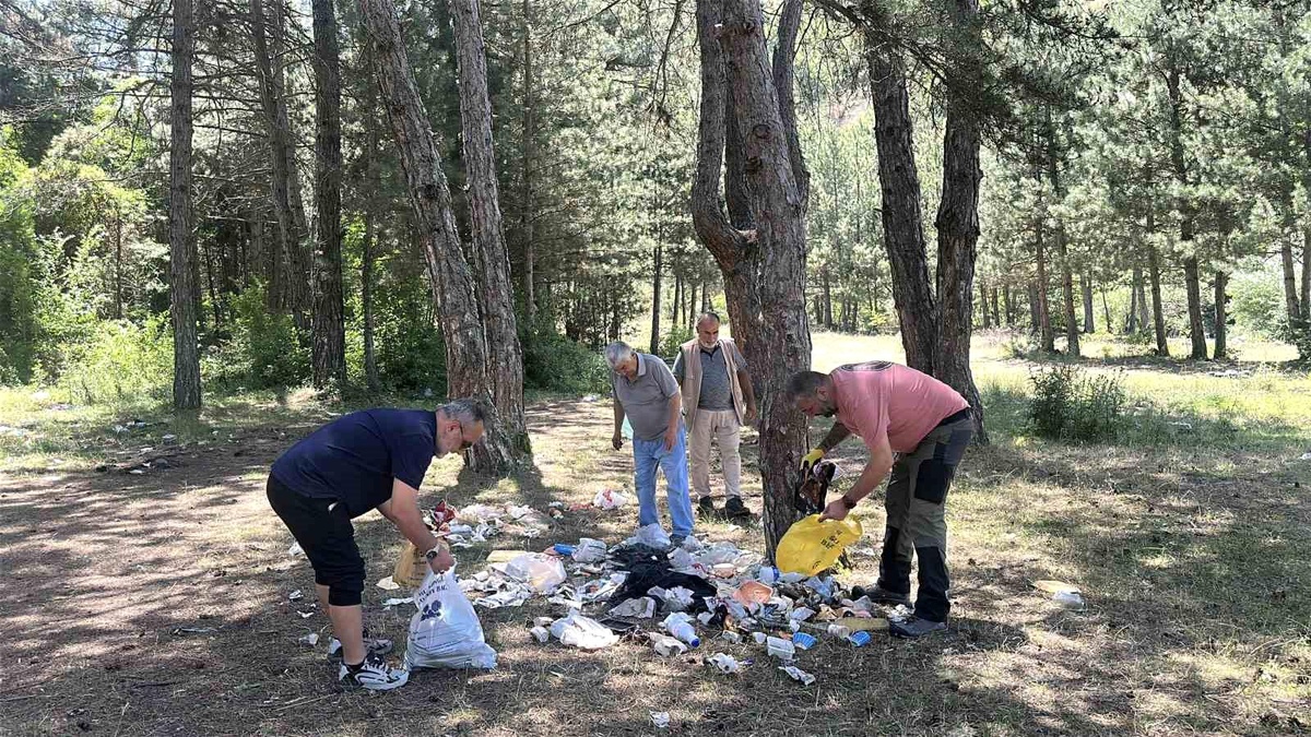Kastamonu Ormanlarına Cam Şişe Atmak Tepki Çekti