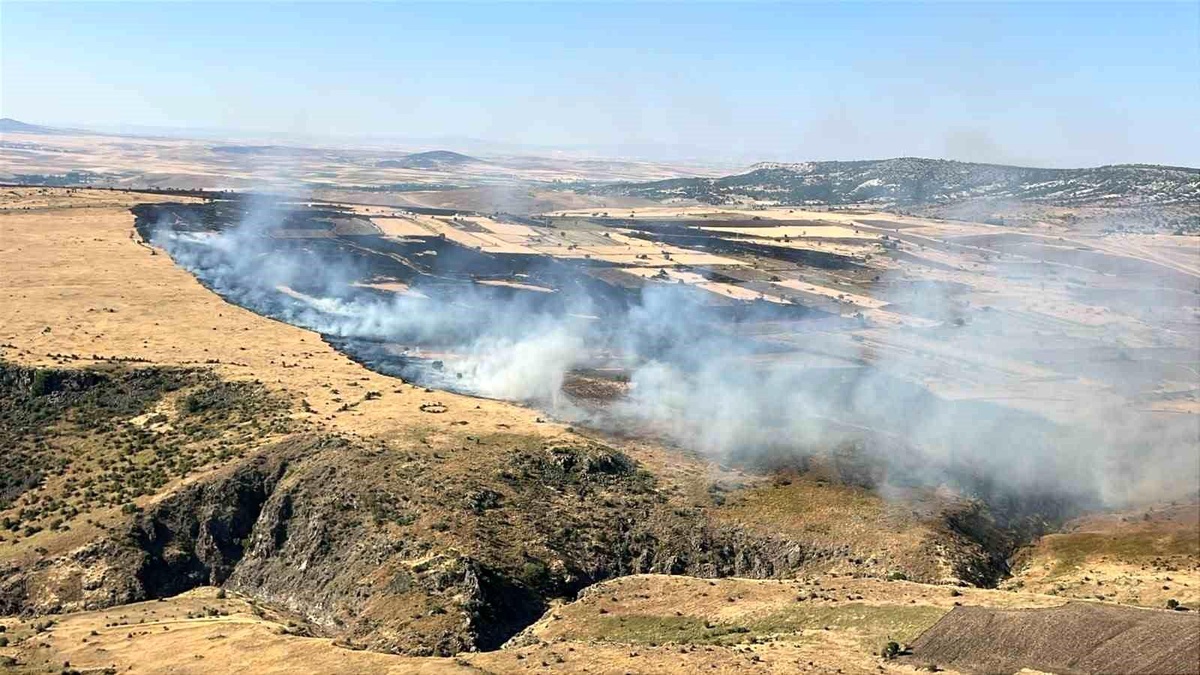 Eskişehir\'de Yangınla Mücadele Devam Ediyor