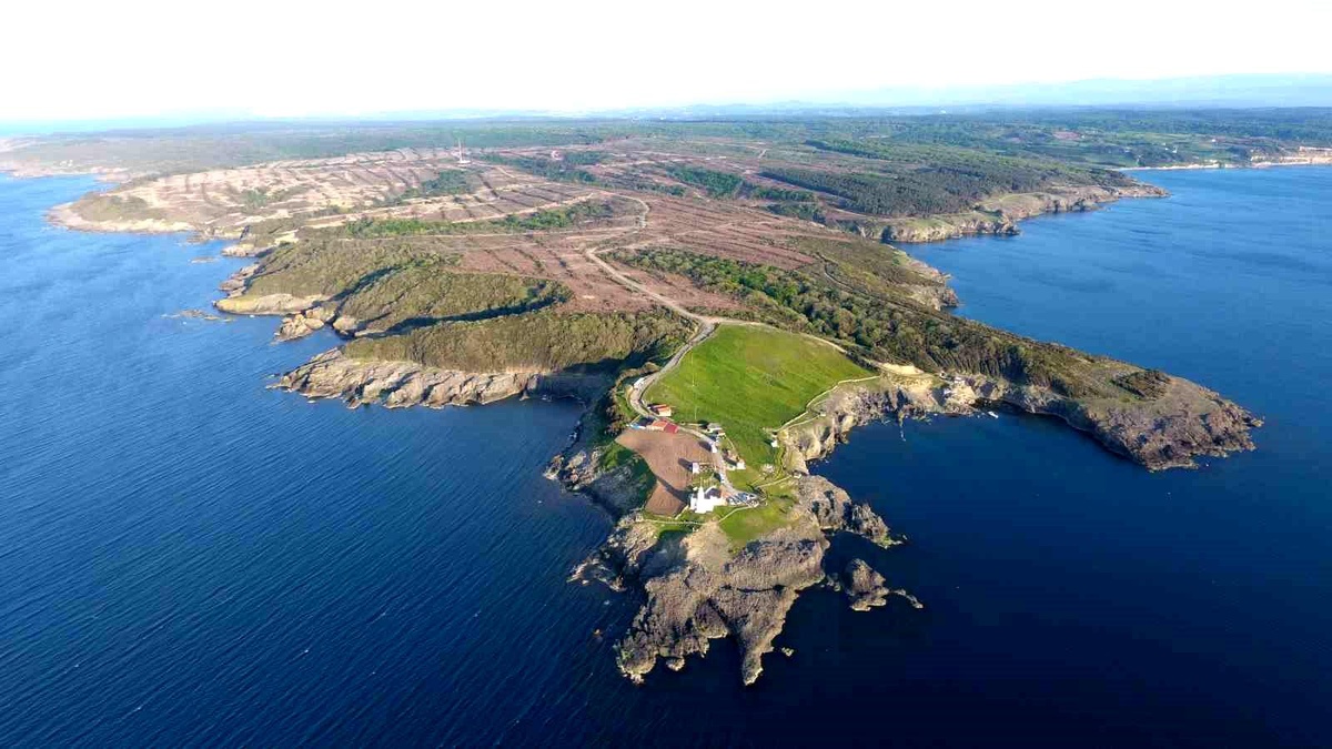 Sinop, Ormanlık Alanı ile Türkiye\'nin 5. İli