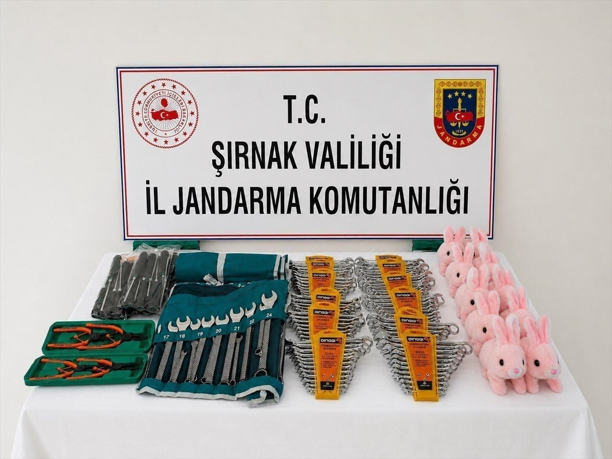 Şırnak\'ta Kaçakçılık Operasyonu: 51 Gözaltı