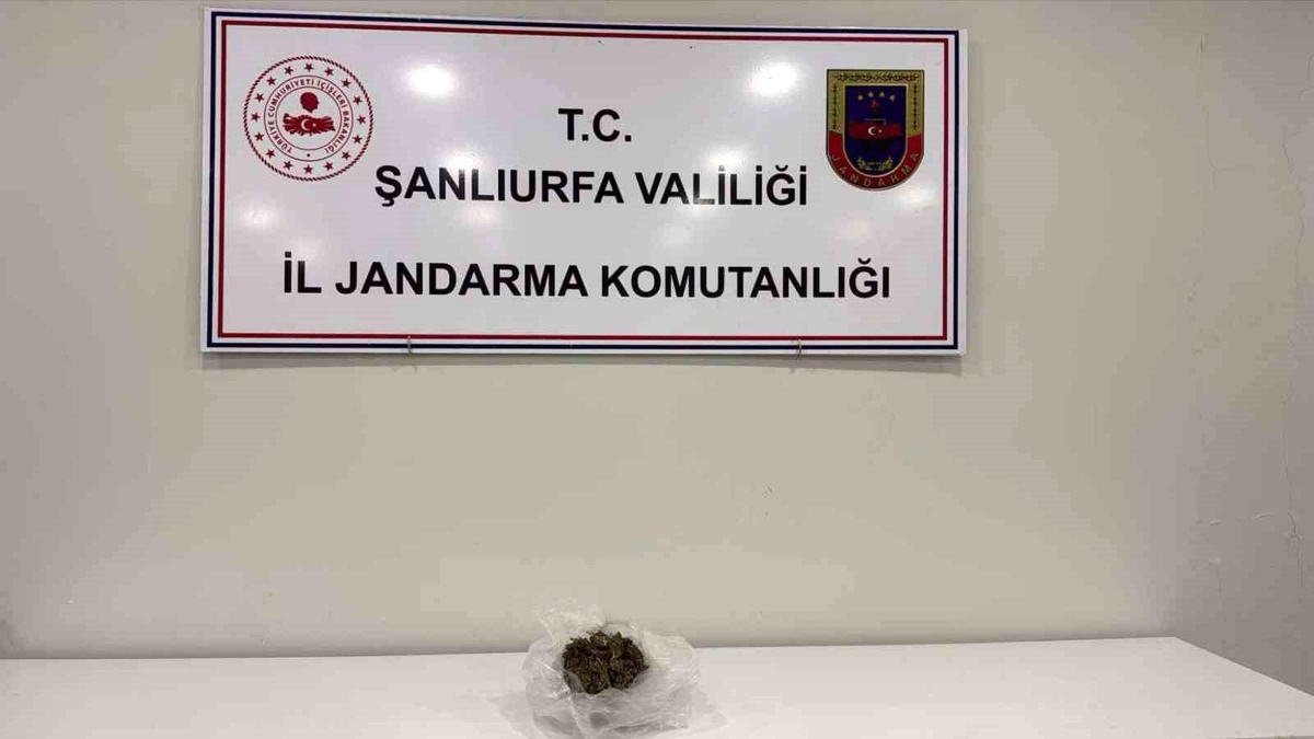 Şanlıurfa\'da 100 Gram Esrar Ele Geçirildi
