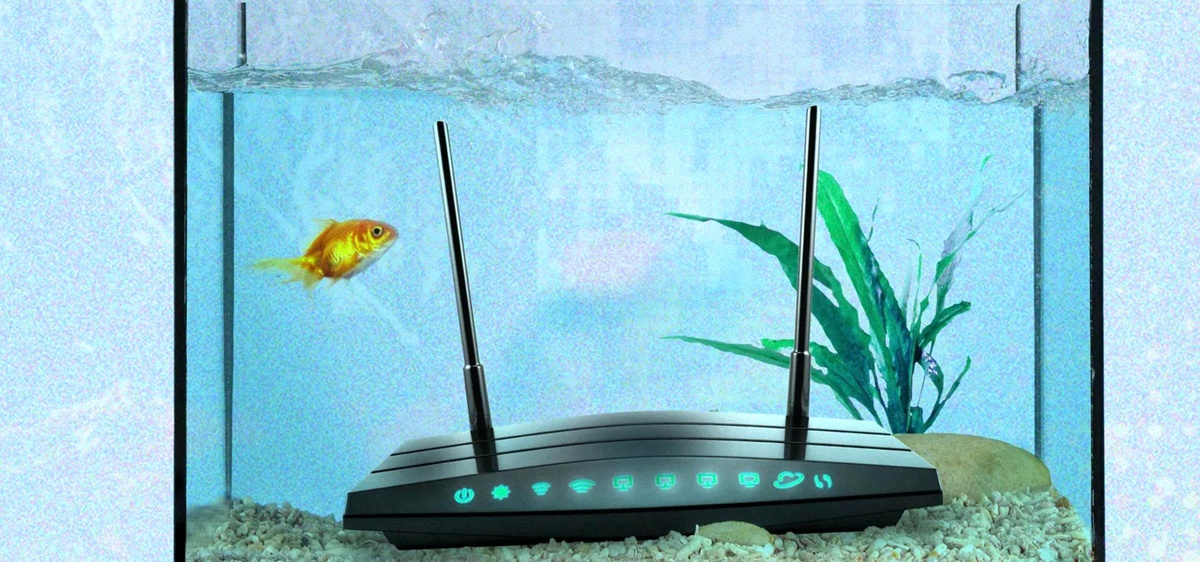 Wifi Sorunları: Mikrodalgalar ve Daha Fazlası