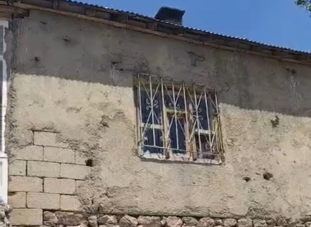 Yüksekova'da yılan kabusu: Evin çatısındaki kuş deliklerine kadar giriyorlar