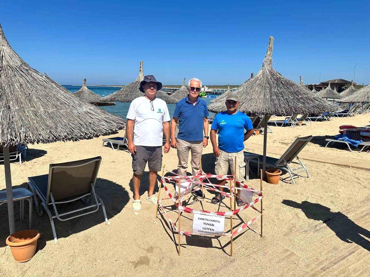 5 yıl sonra aynı plaja dönen caretta Didim\'de yeniden yuva yaptı