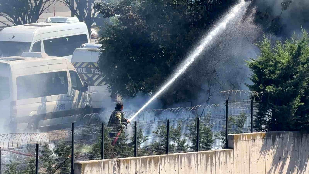 Gebze\'de Ağaçlık Alanda Yangın