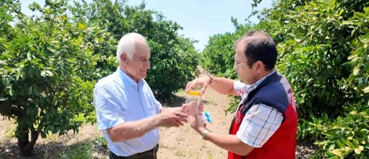 Kahramanmaraş'ta Faydalı Böcek Salımı