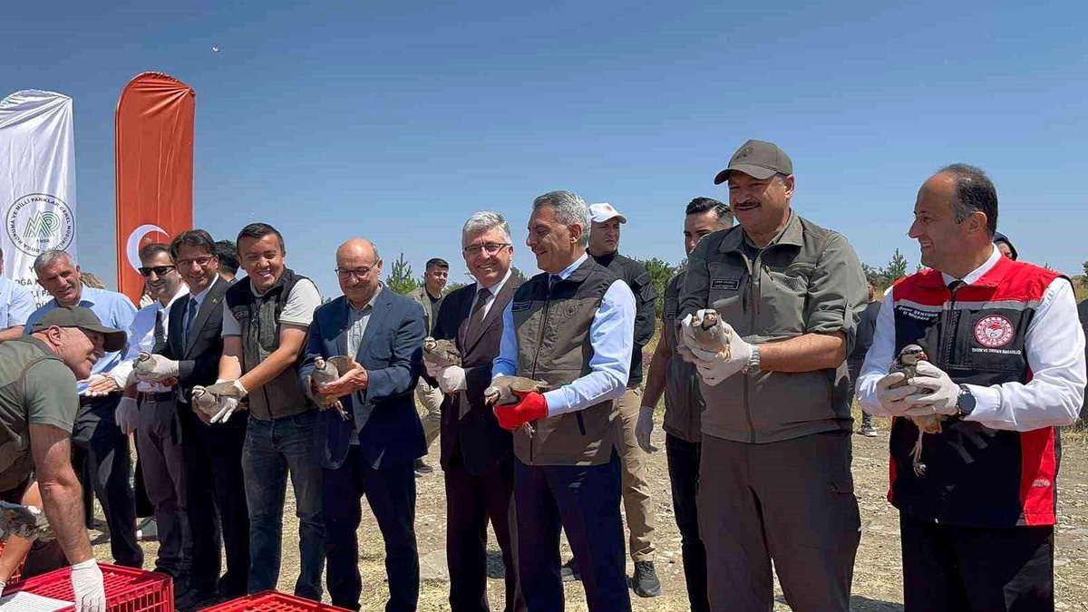 Yozgat\'ta 1000 Kınalı Keklik Doğaya Salındı