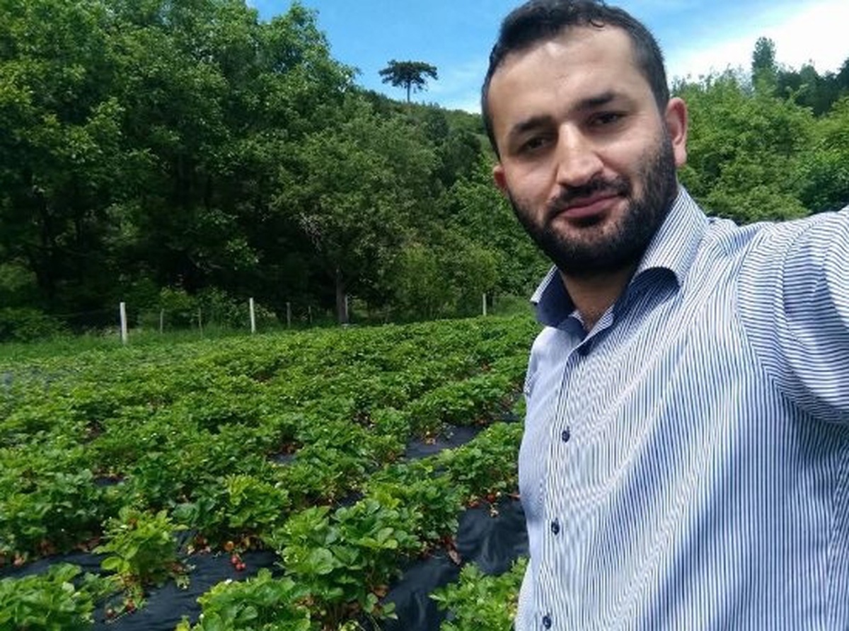 İskilip\'te Ayı Tehdidi Artıyor