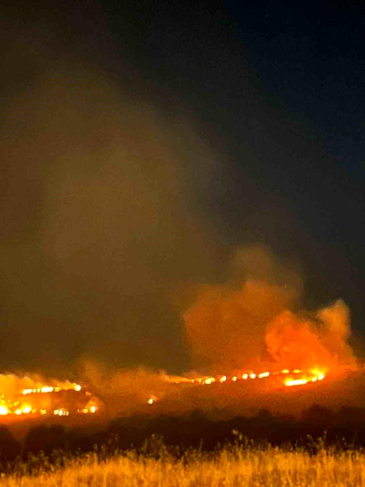Elazığ\'da dağlık alanda yangın paniği
