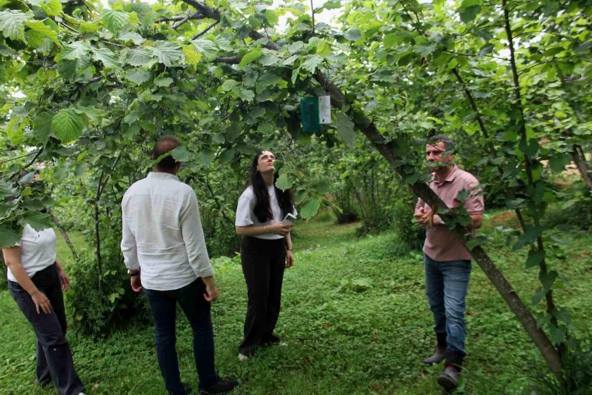 İklim Değişikliği ve İstilacı Türler İçin Tarım Projesi