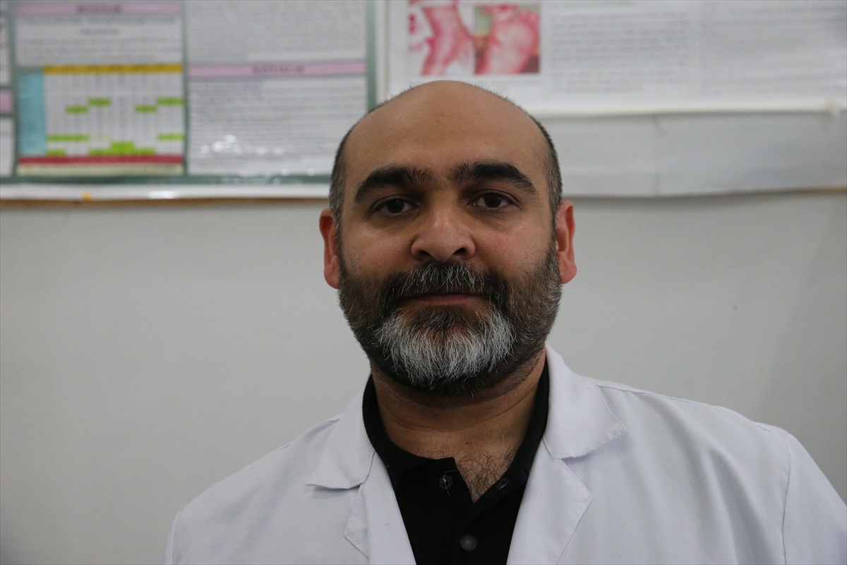 Kene Uyarısı: Panik Yapmadan Çıkarın