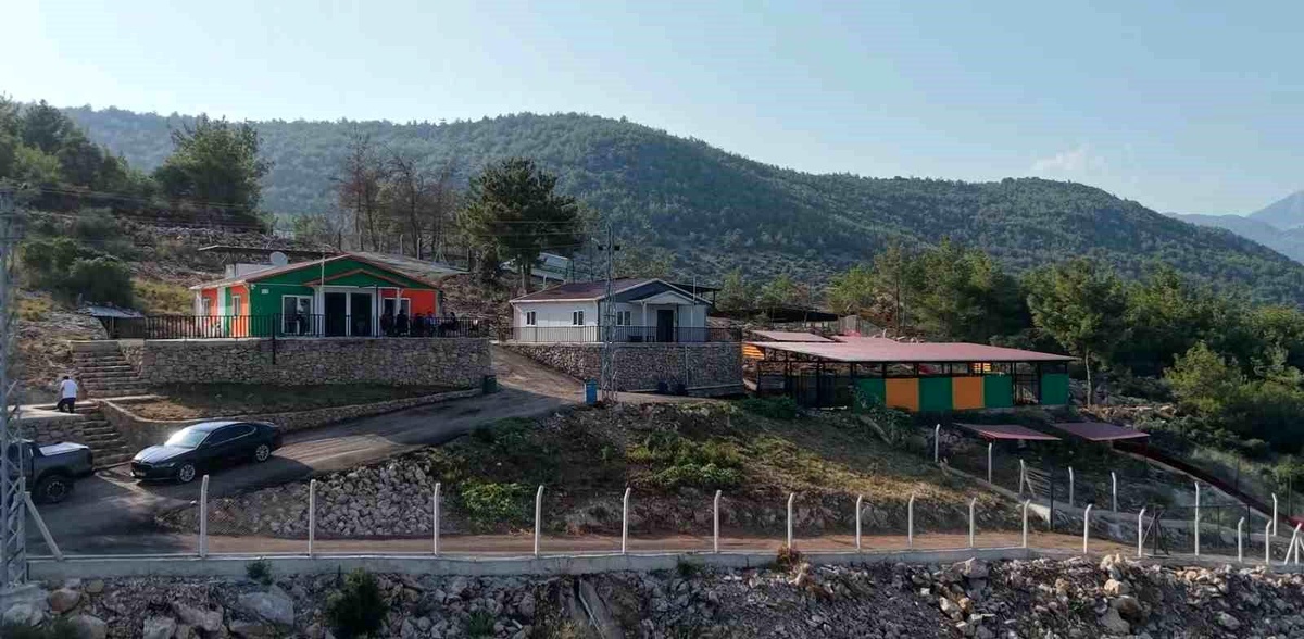 Kozan\'da hedef sıfır sahipsiz sokak hayvanı