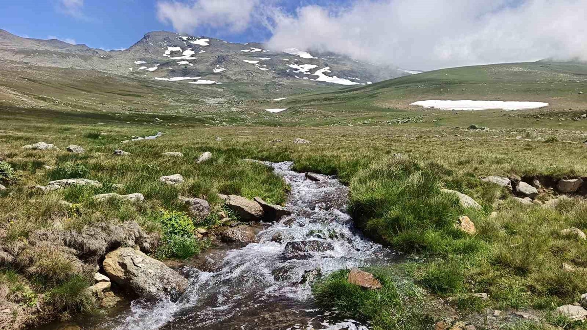 Ordu Yaylalarında Yaz Güzellikleri