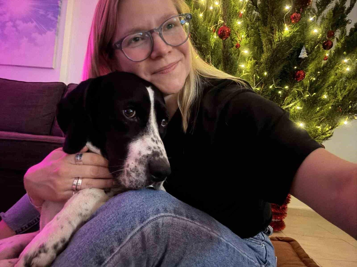 Kayıp Köpeğe 1000 Dolar Ödül