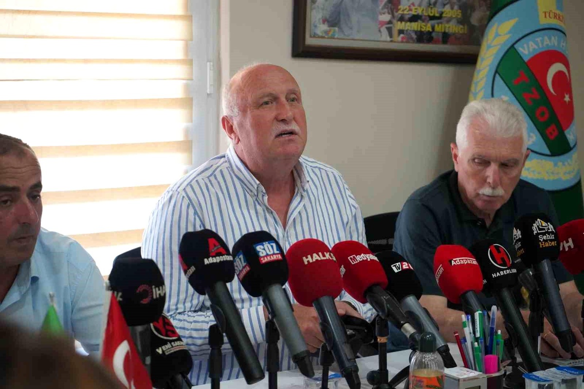 Sakarya\'da Fındık İşçilerine Yeni Yevmiye Ücretleri Belirlendi