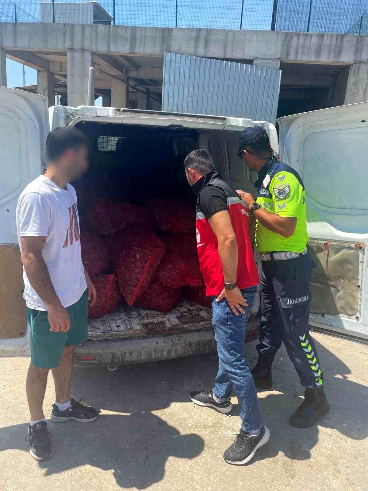 Malkara\'da 700 kg Yasa Dışı Midye Ele Geçirildi
