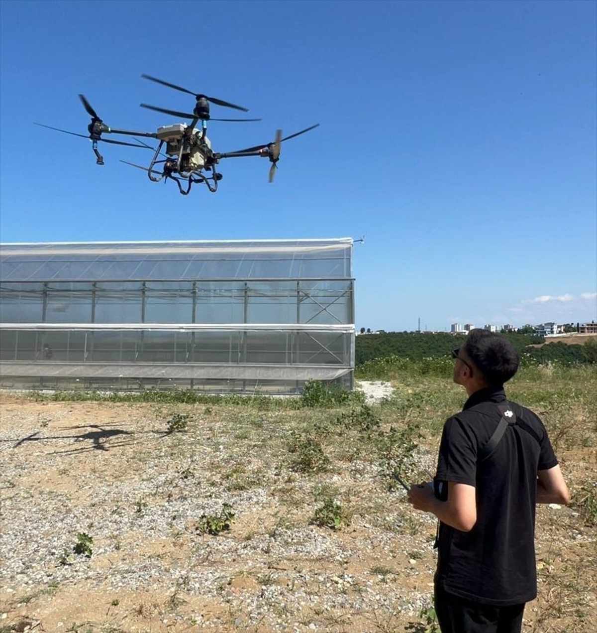 Samsun\'da Trüf Mantarı İçin Dron ile Gölgelendirme