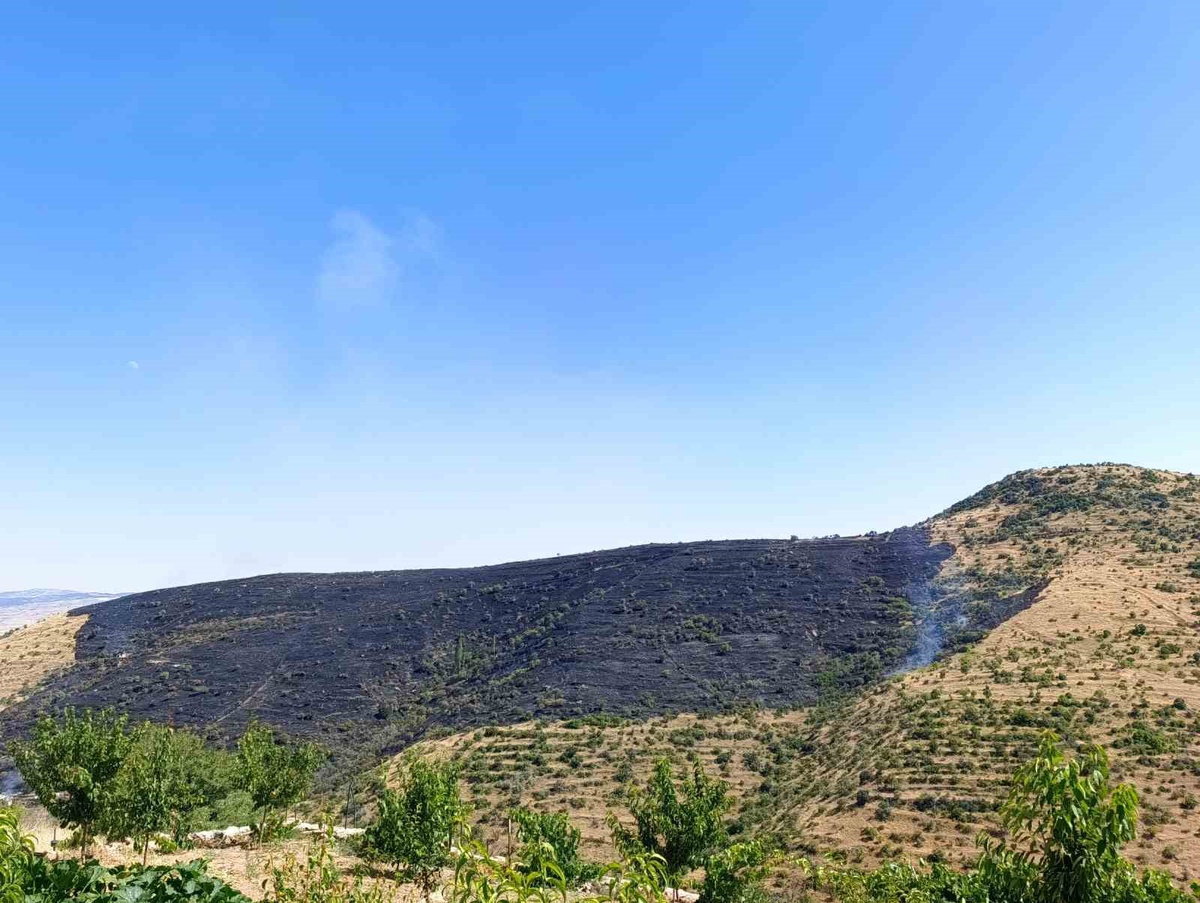 Afyonkarahisar\'da Yangın: 150 Hektar Ziyan