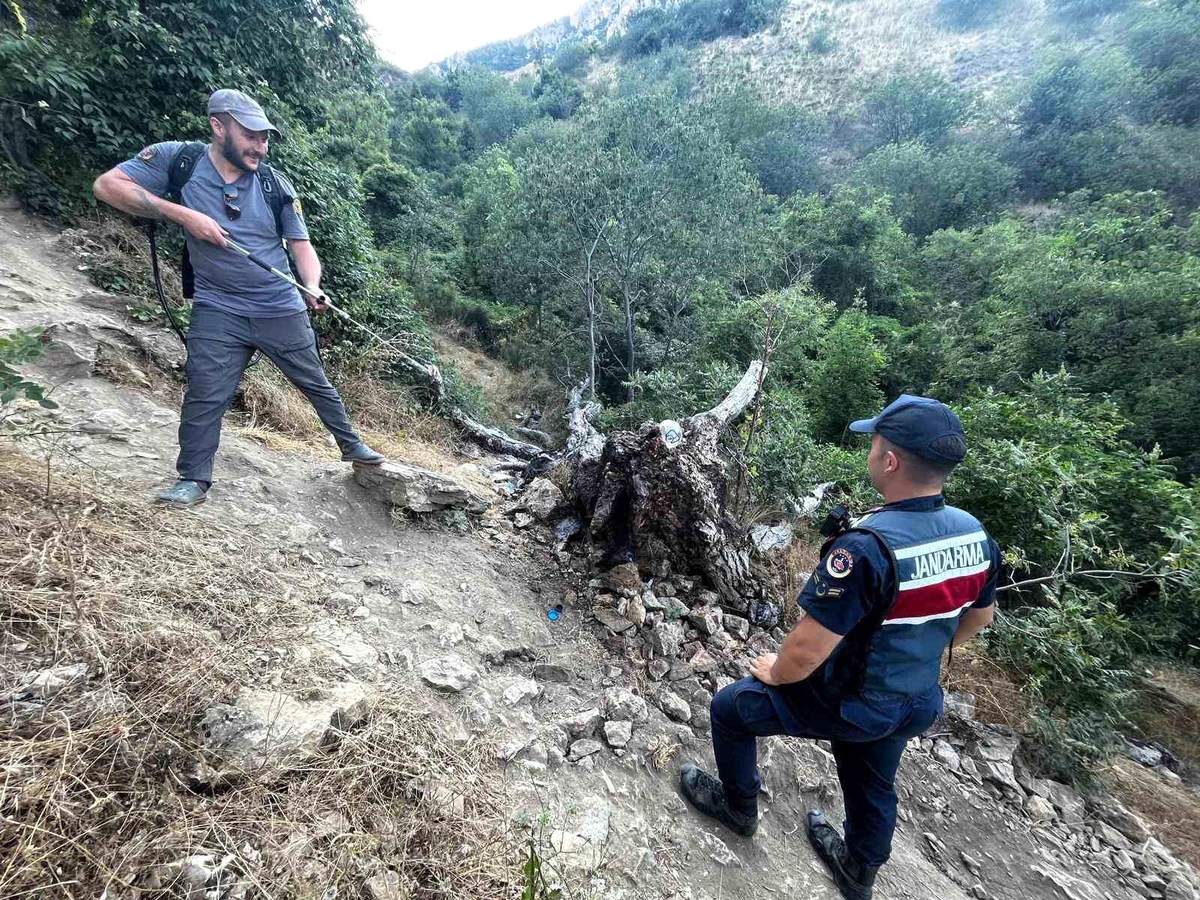 Bilecik\'te Ağaç Yangını Korkuttu