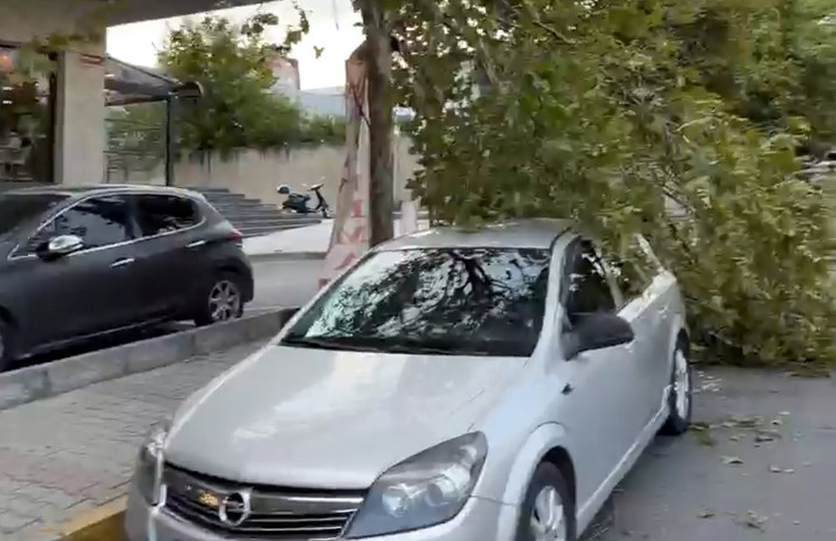 İstanbul\'da Fırtına Ağaçları Devrip Araçlara Zarar Verdi