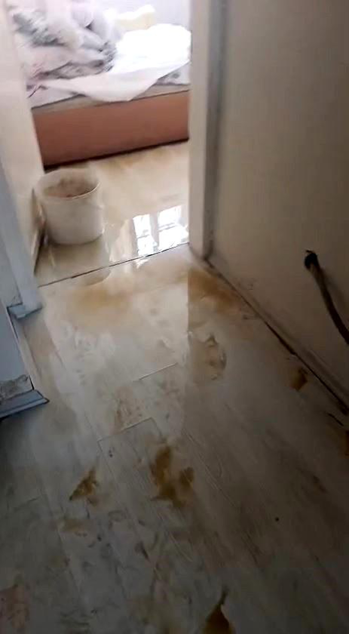Avcılar\'da Su Borusu Patladı, Daireyi Su Bastı