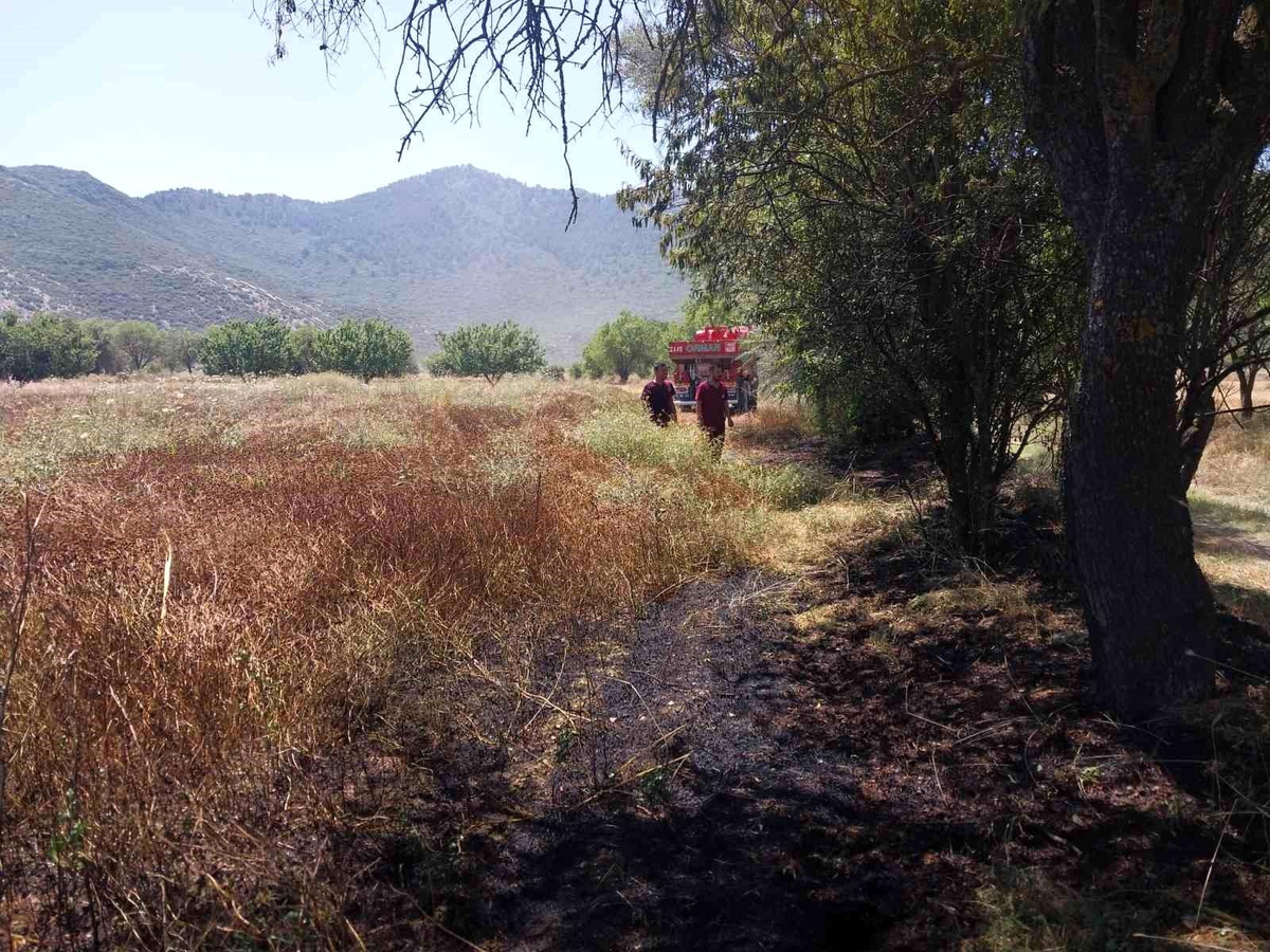 Bucak\'ta Anız Yangını Kontrol Altına Alındı