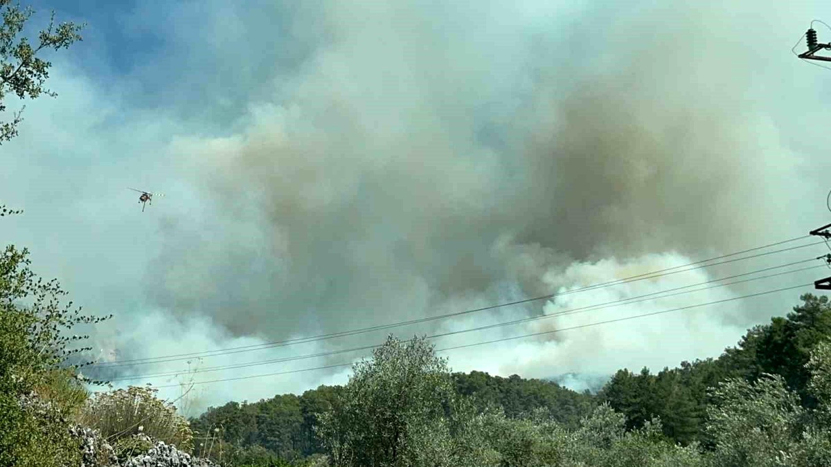 Fethiye\'de orman yangınını söndürmek için ekipler seferber oldu