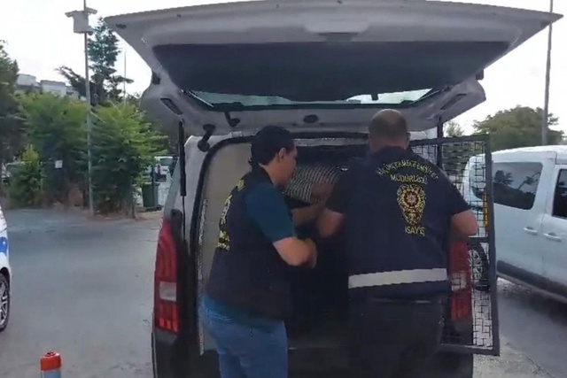 Küçükçekmece'de hamile eşine tatlı almaya çıkan adama bıçaklı saldırı