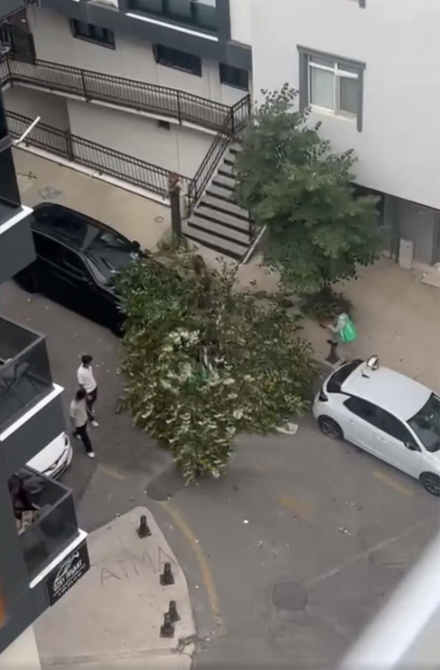 Hava aniden karardı, İstanbul'u fırtına esir aldı: Ağaçlar devrildi, çatılar uçtu