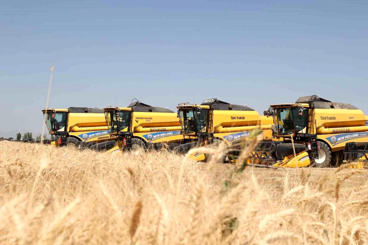 Hububat hasadından Muş ekonomisine 11 milyar liralık katkı bekleniyor