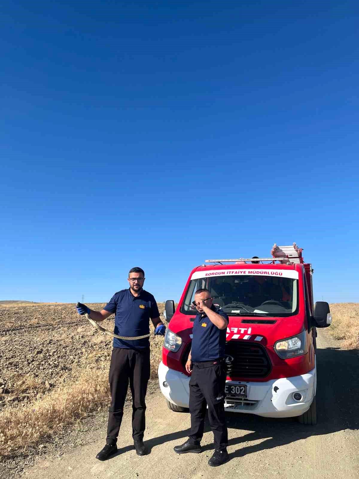 Kaymakamlık bahçesinde bulunan yılan doğaya bırakıldı