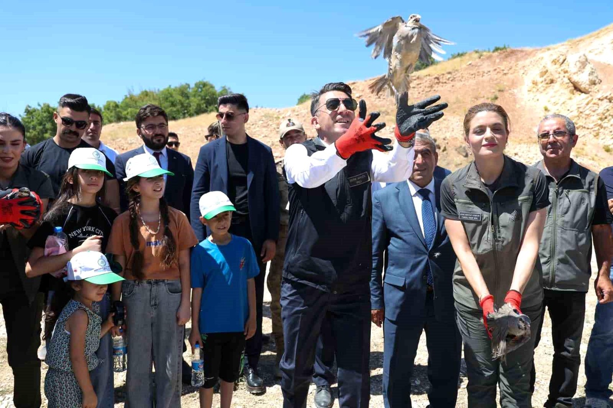 Tunceli\'de 500 Kınalı Keklik Doğaya Salındı