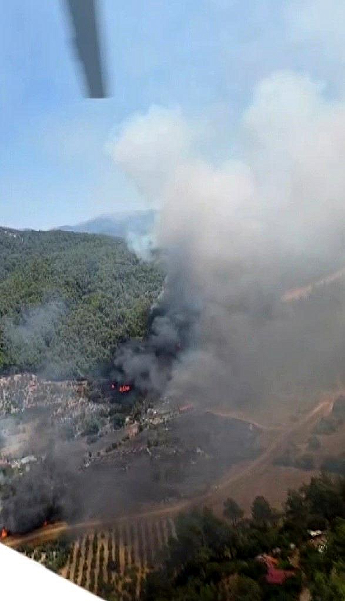 Aydın\'da Orman Yangınına Müdahale Ediliyor