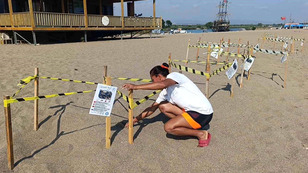Manavgat\'ta caretta caretta yavrularına koruma nöbeti