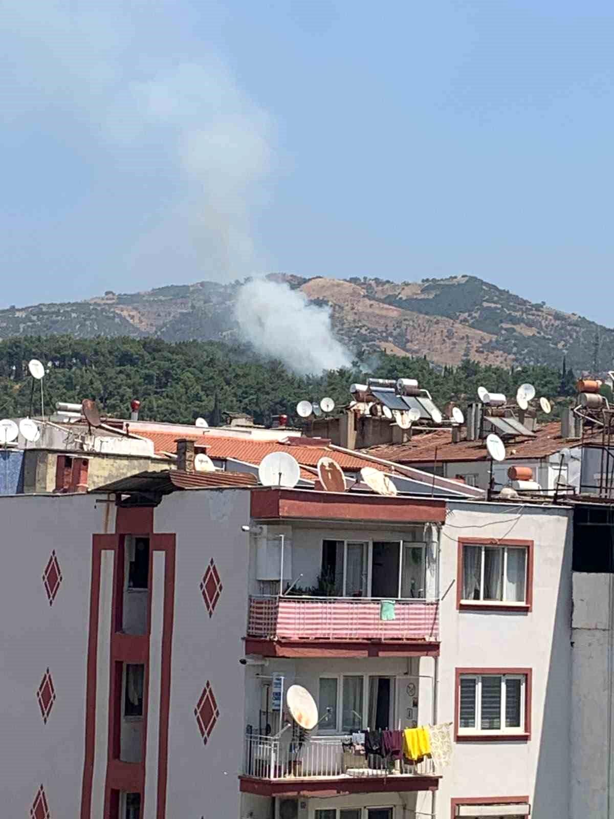 Mesire alanındaki yangın kısa sürede söndürüldü