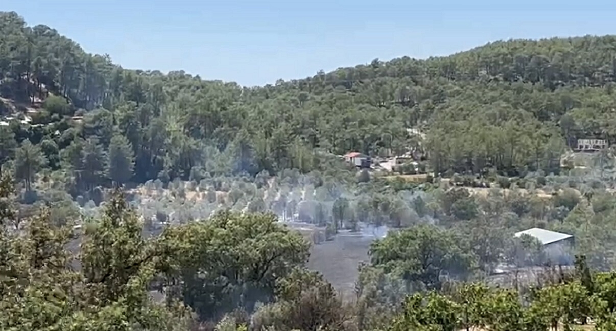 Fethiye\'de Orman Yangını: 10 Ev Boşaltıldı