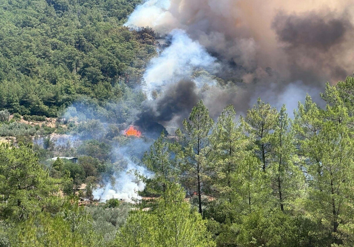 Fethiye\'de Orman Yangını Çıktı