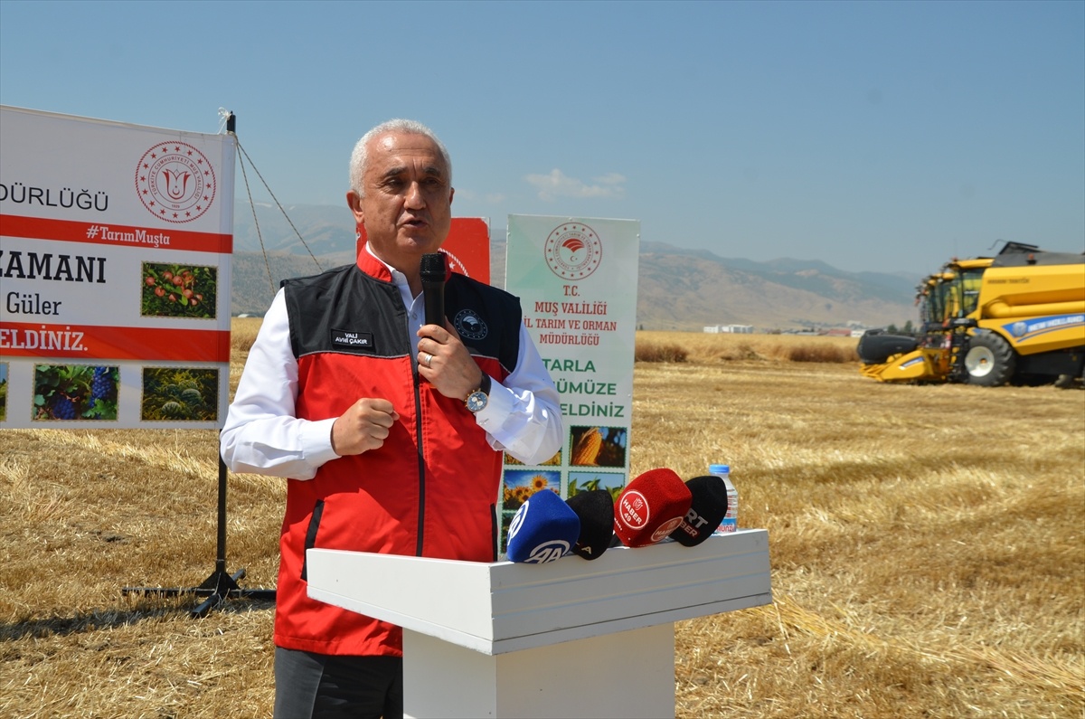 Muş'ta 2026 sezonunun ilk hububat hasadı yapıldı